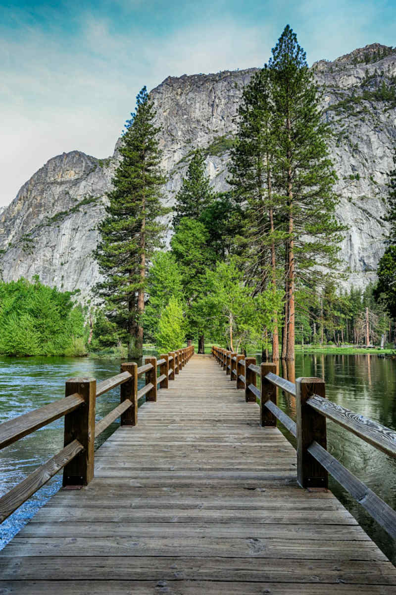 Wall Poster - Forest in Yosemite