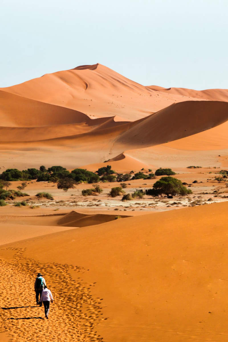 Wall Poster - Gondola in Namibia