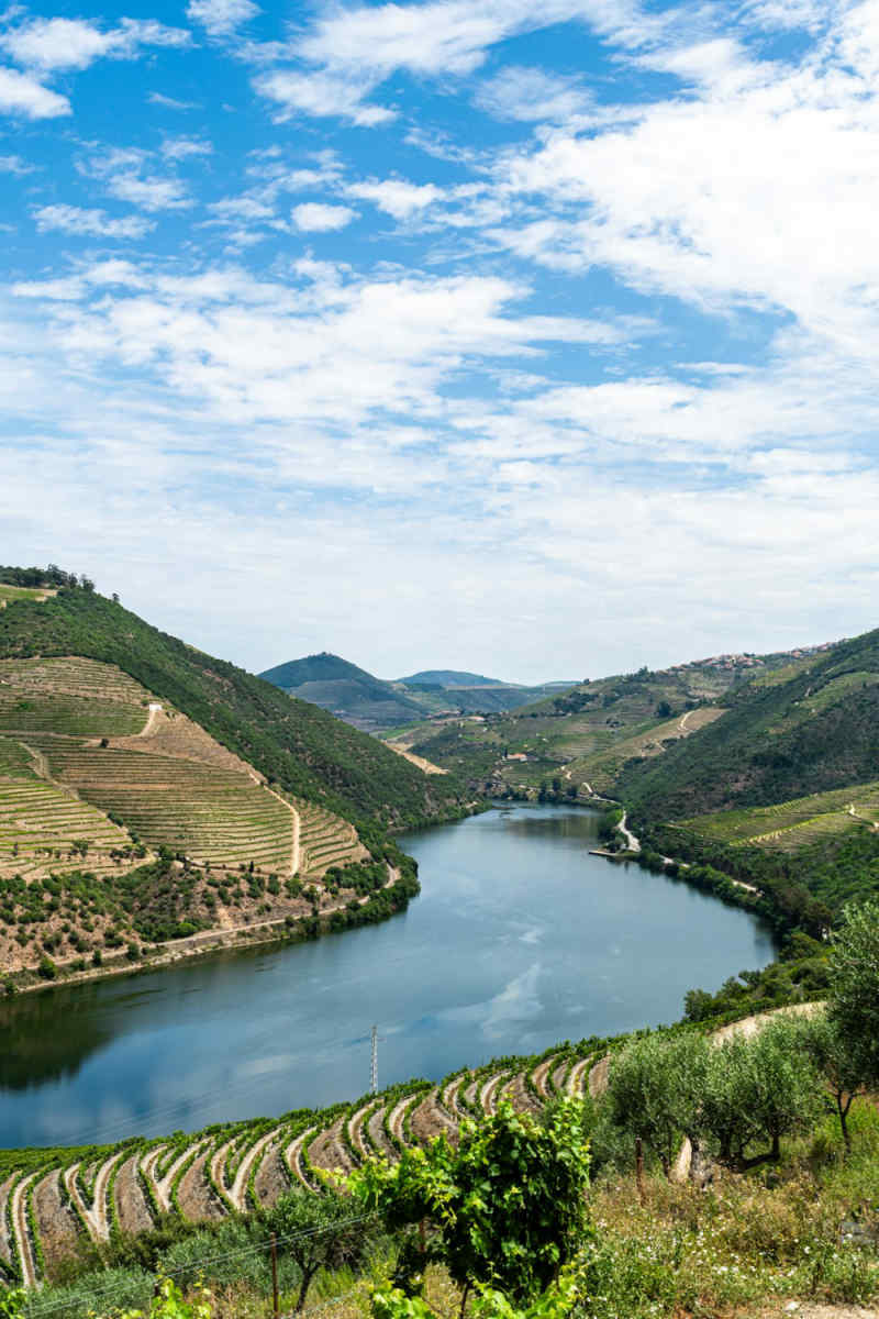Wall Poster - Gondola in the Douro Valley