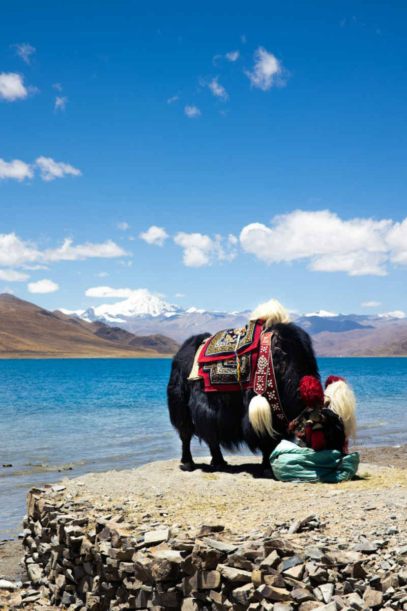 Wall Poster - Harbor in Tibet