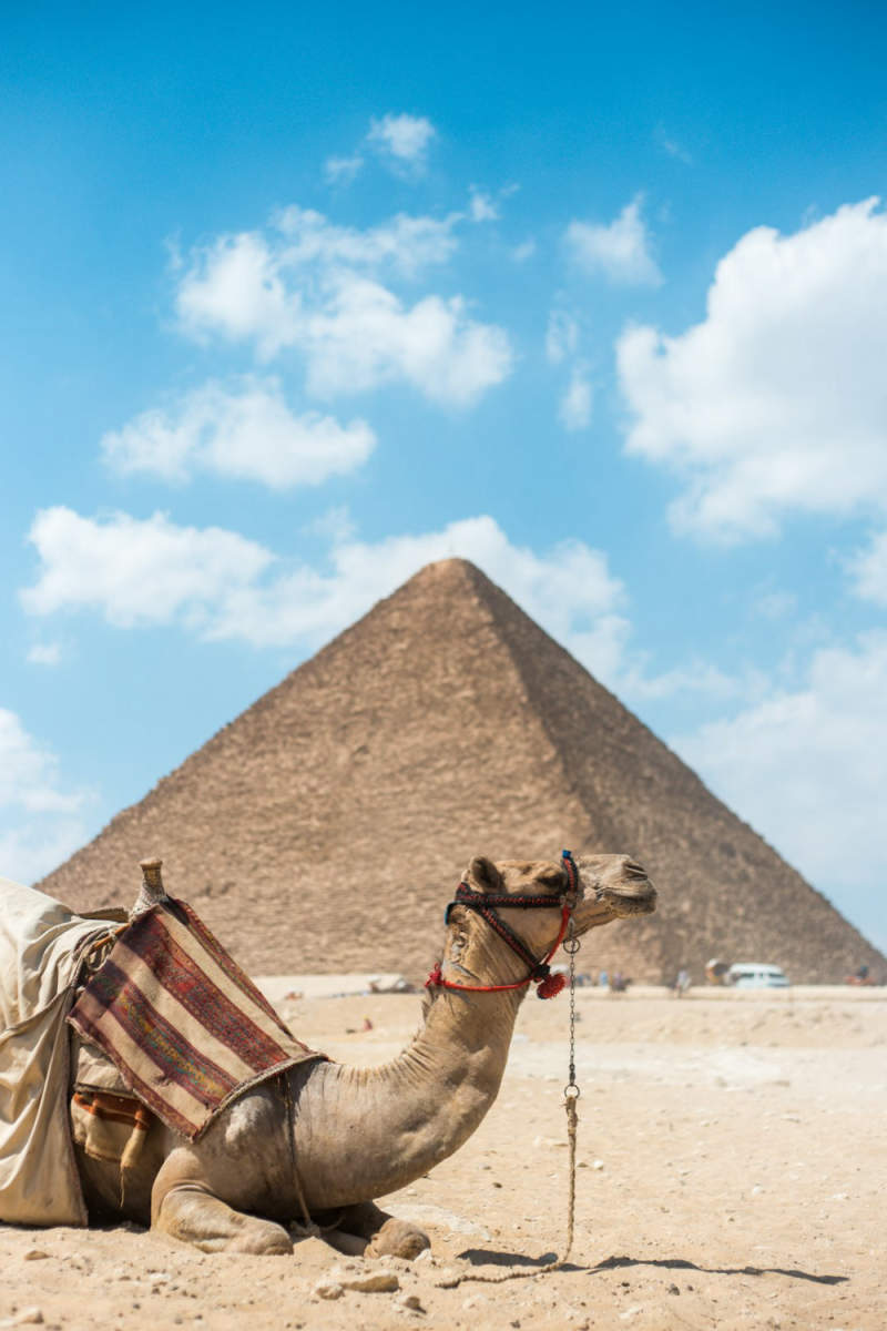 Wall Poster - Island in Egypt