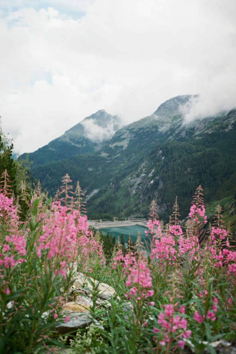 Wall Poster - Island in the Austrian Alps