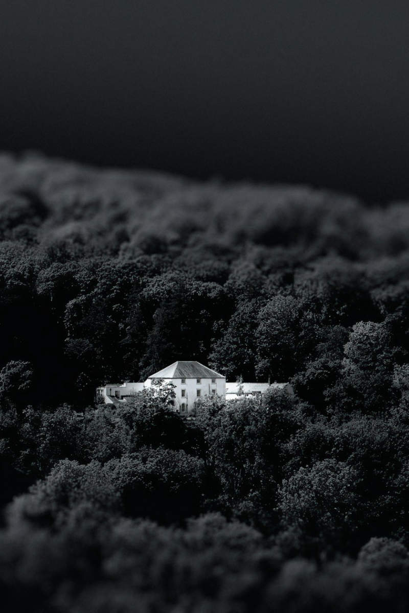 Wall Poster - Island in the Black Forest