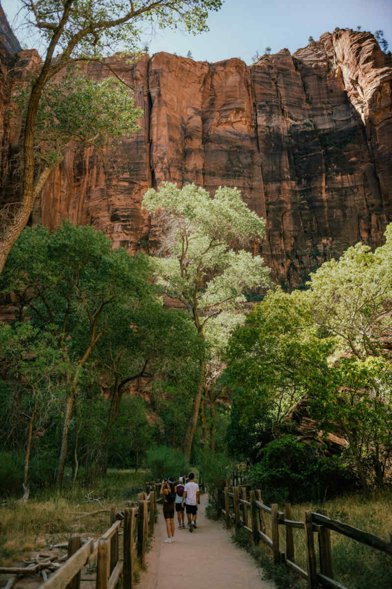 Wall Poster - Island in Zion National Park