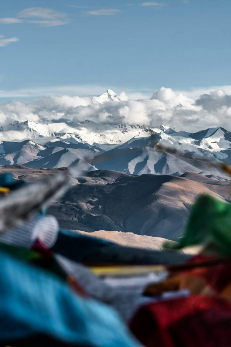 Wall Poster - Jungle Canopy in Tibet