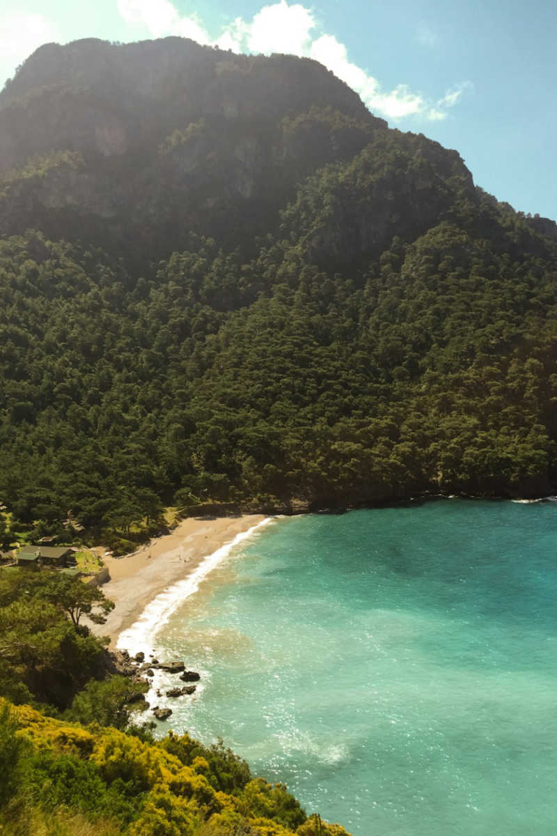 Wall Poster - Jungle Canopy in Turkey