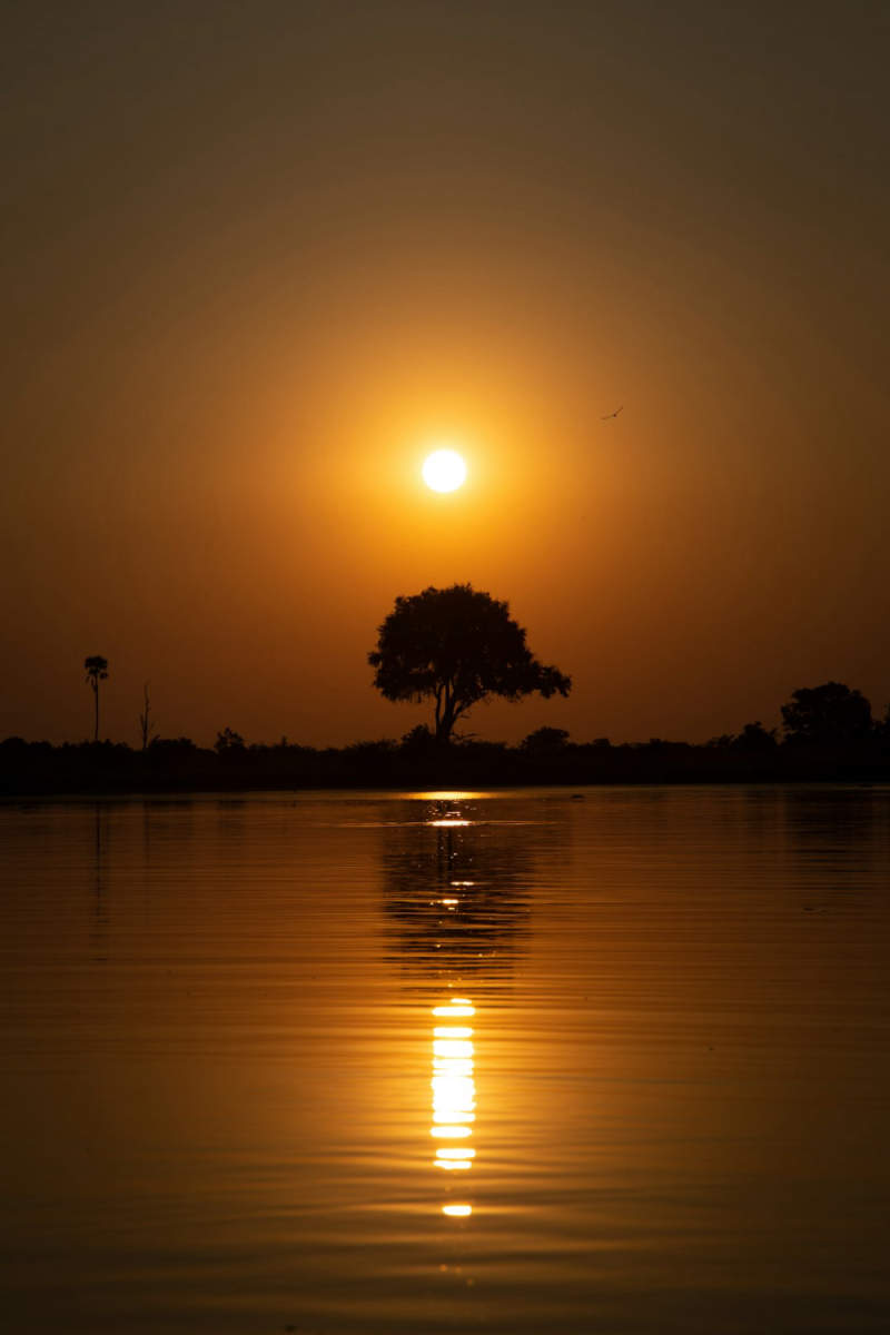 Wall Poster - Lake in Botswana