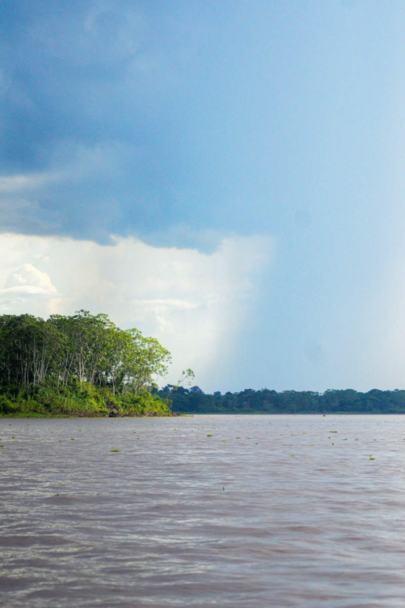 Wall Poster - Lake in the Amazon Rainforest