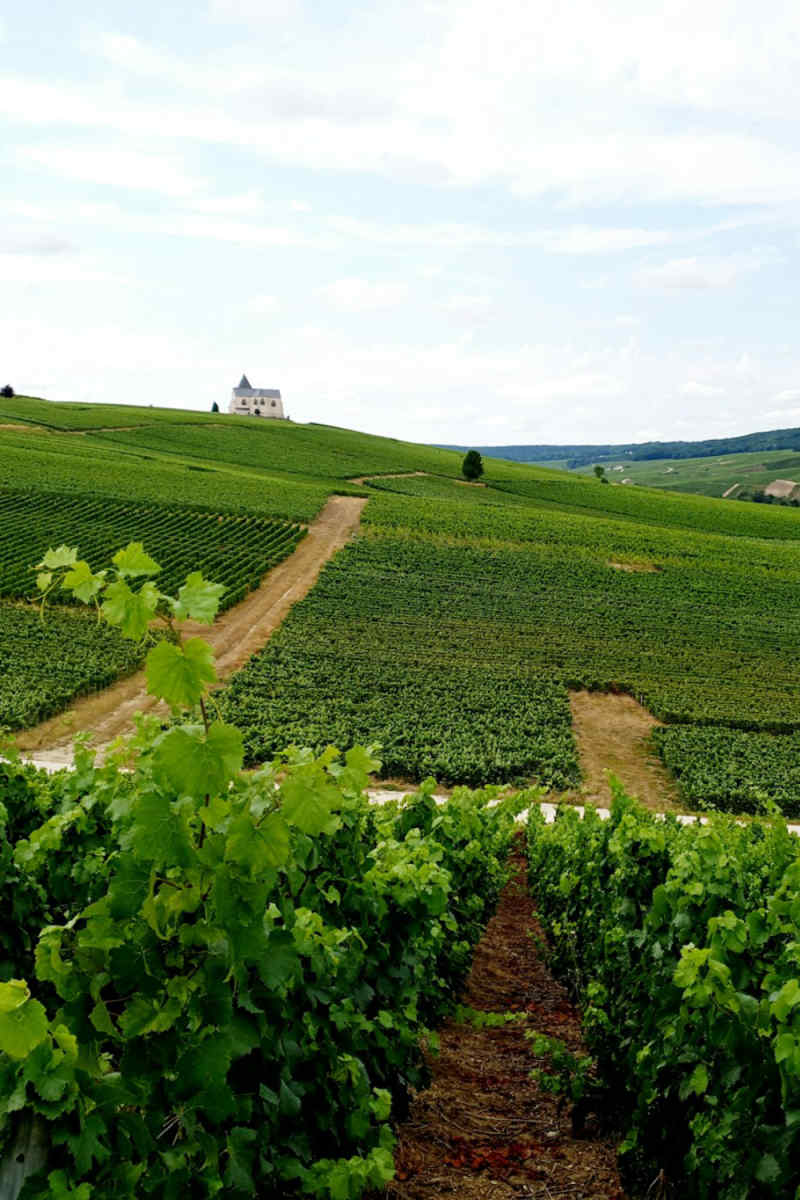 Wall Poster - Meadow in Champagne