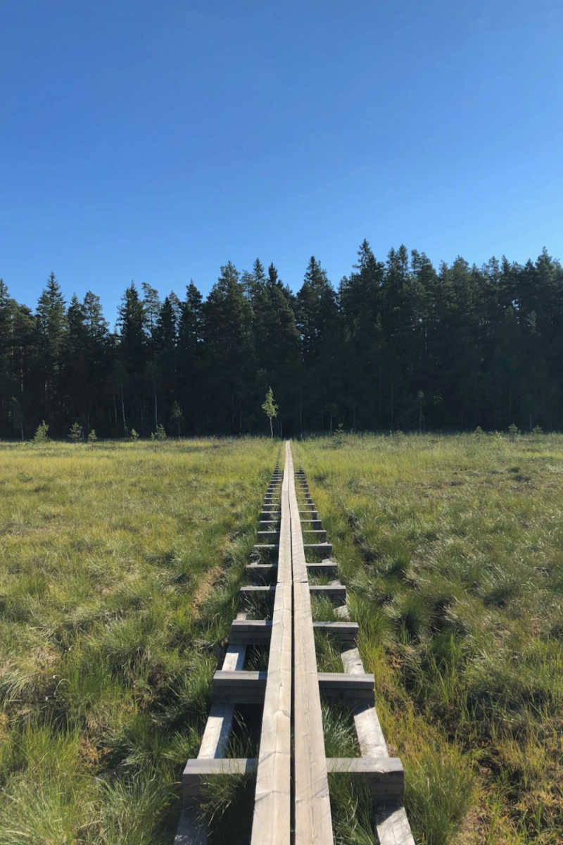 Wall Poster - Meadow in Finland