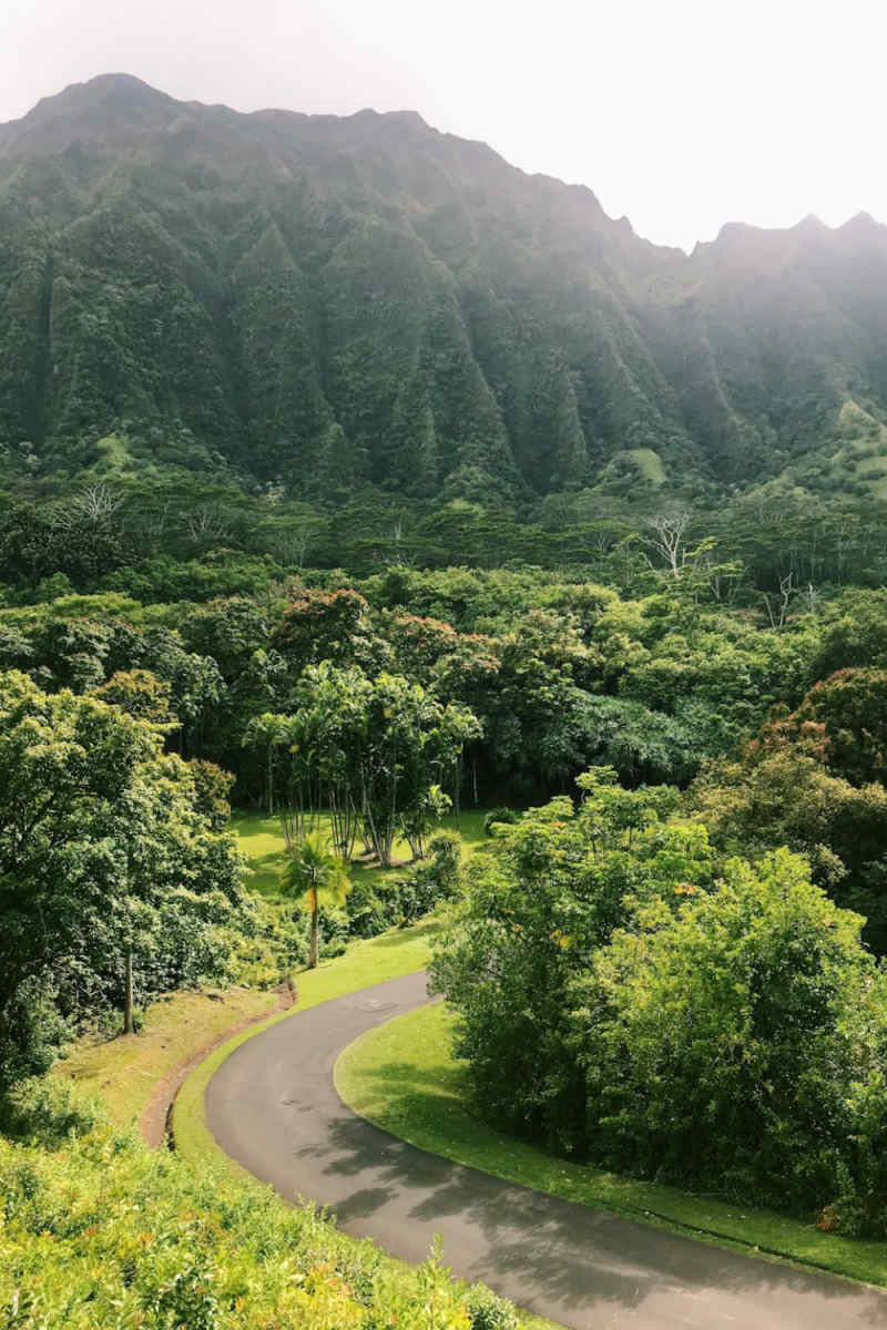 Wall Poster - Meadow in Hawaii