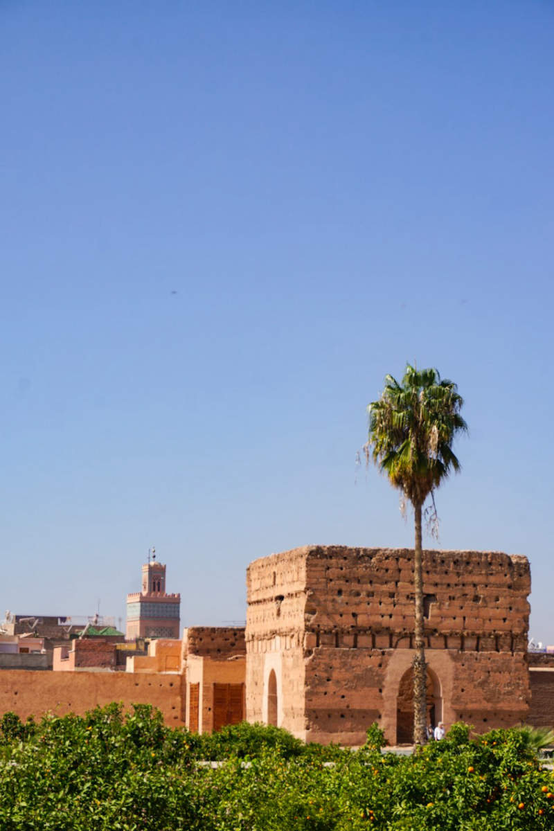Wall Poster - Meadow in Marrakech