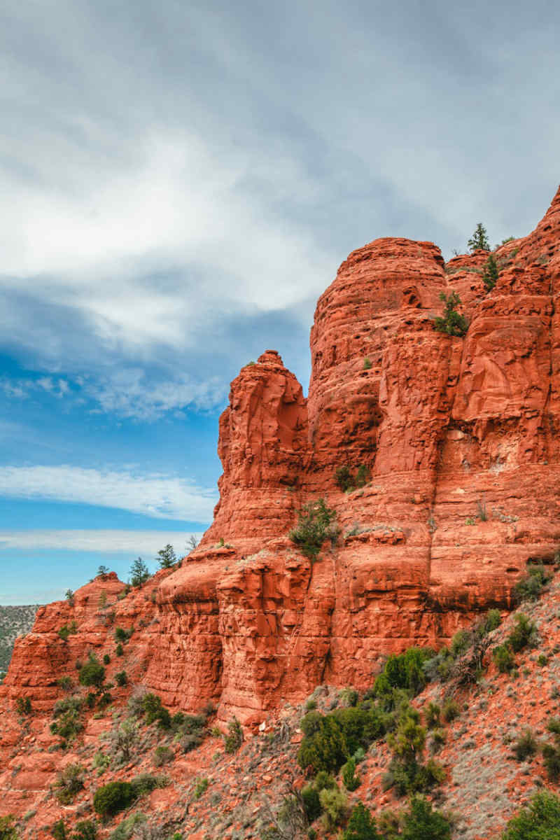 Wall Poster - Meadow in Sedona