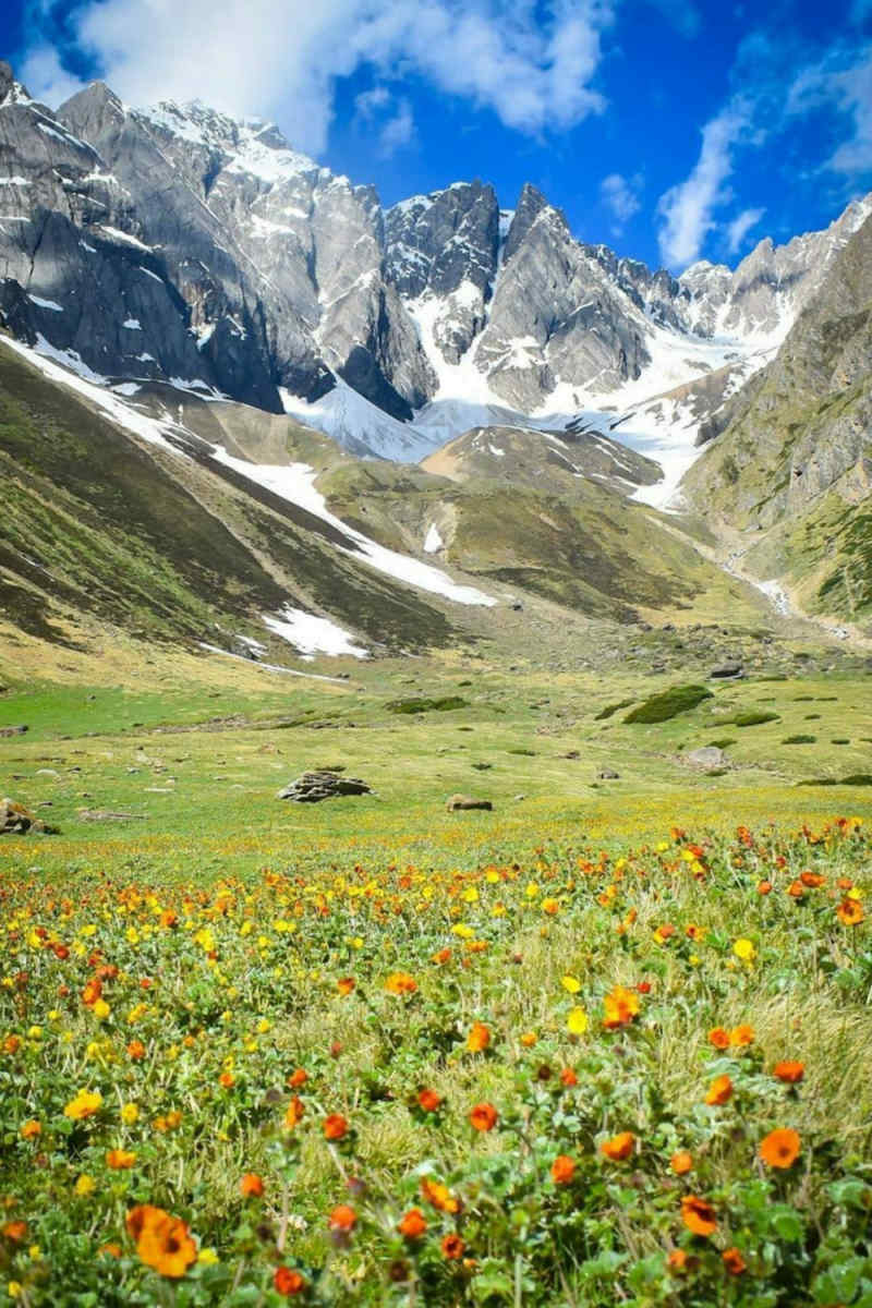 Wall Poster - Meadow in Zermatt
