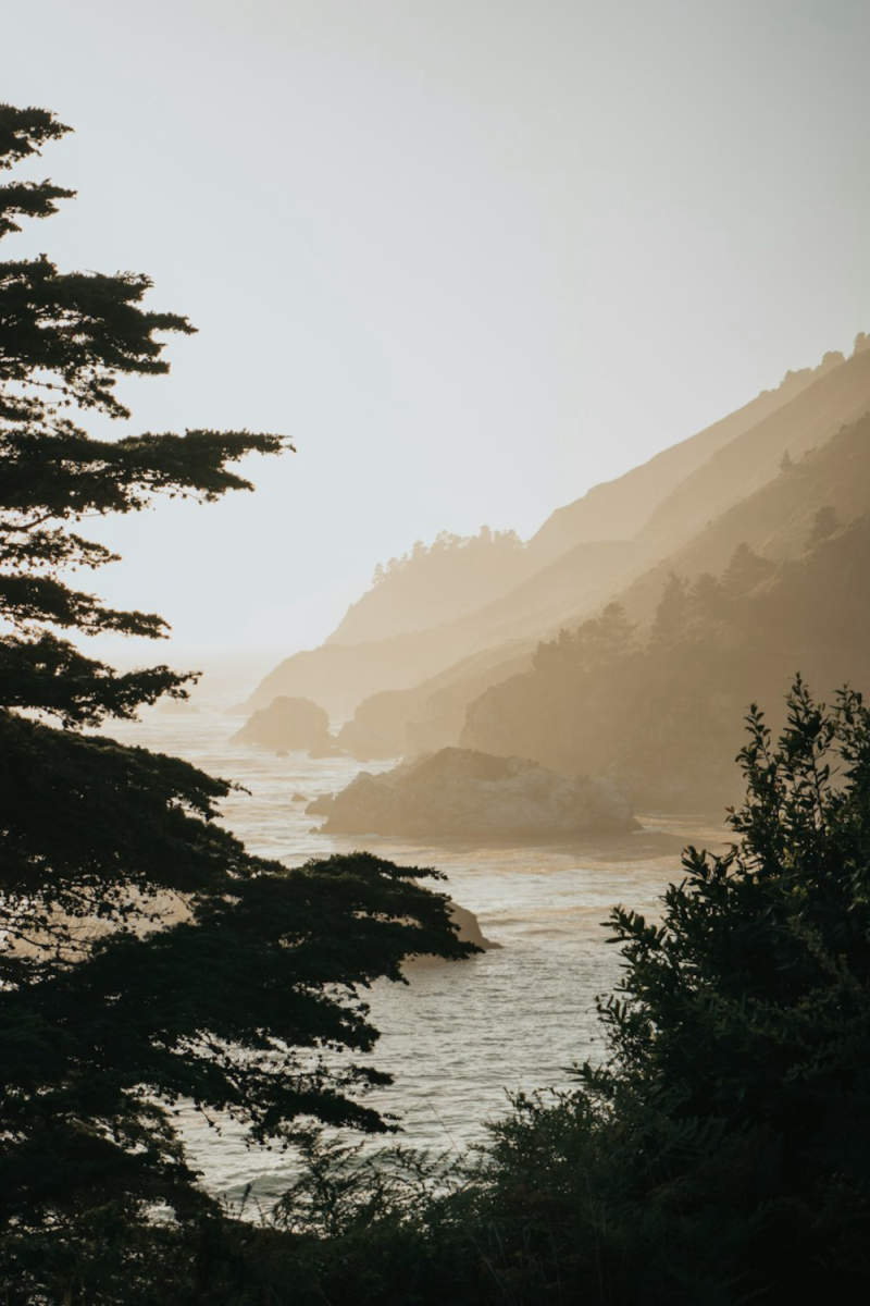 Wall Poster - Morning Mist in Big Sur