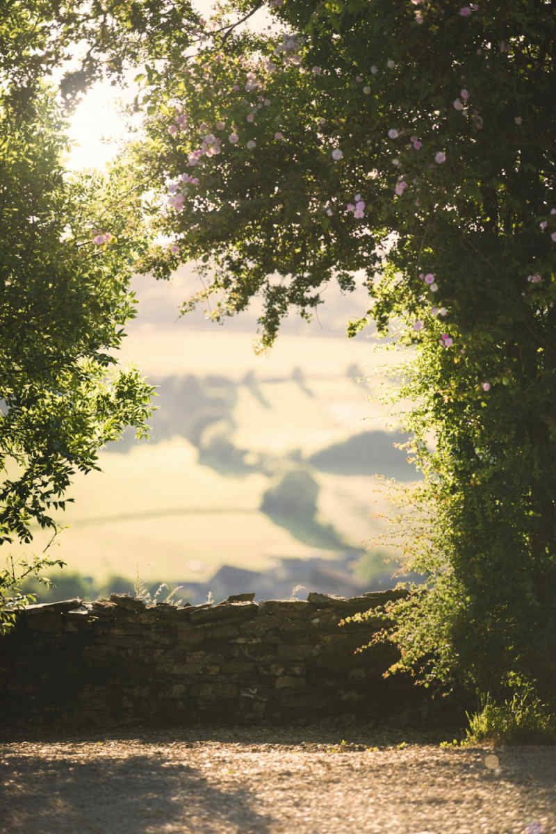 Wall Poster - Morning Mist in the Cotswolds