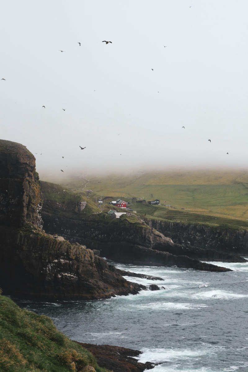 Wall Poster - Morning Mist in the Faroe Islands