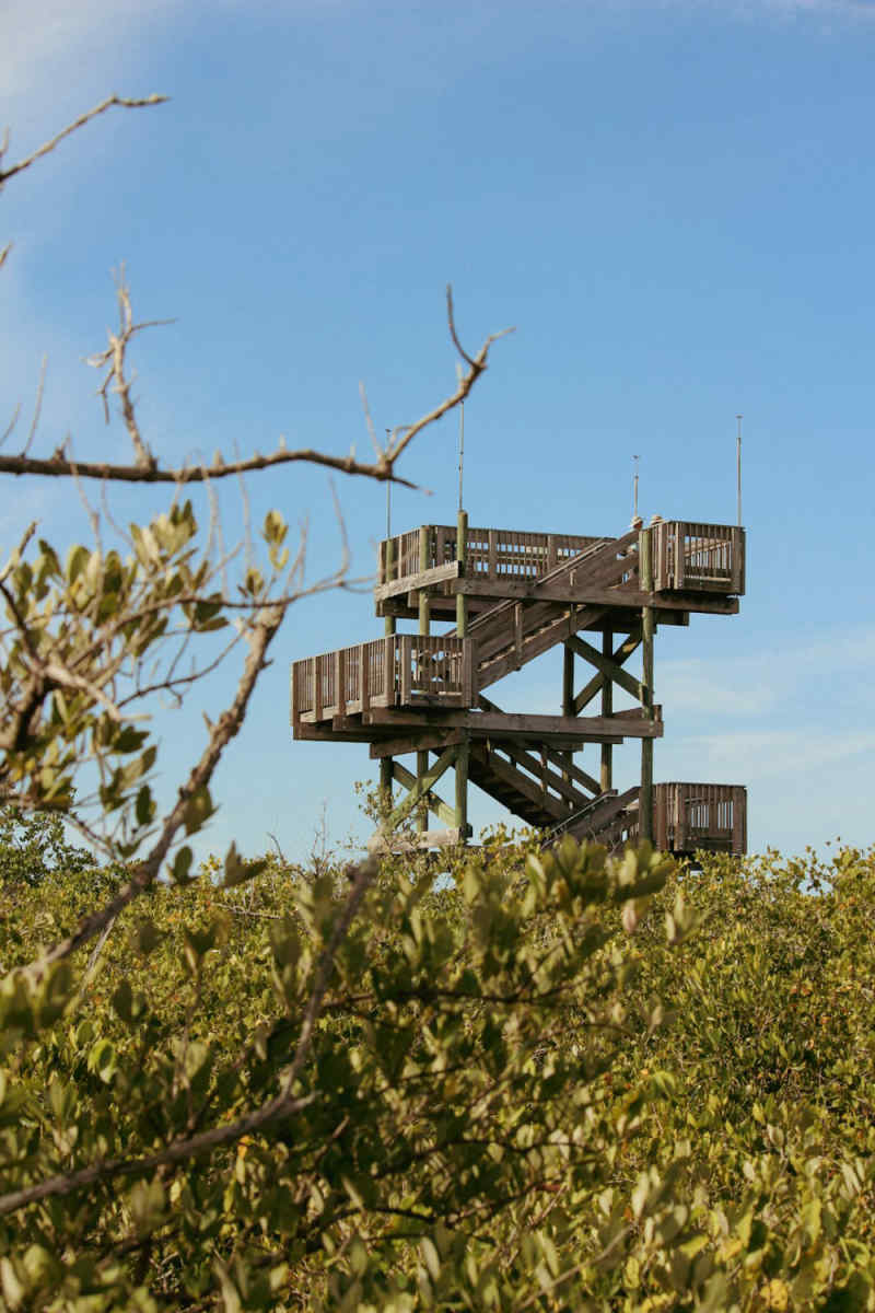 Wall Poster - Mountain Peak in the Everglades