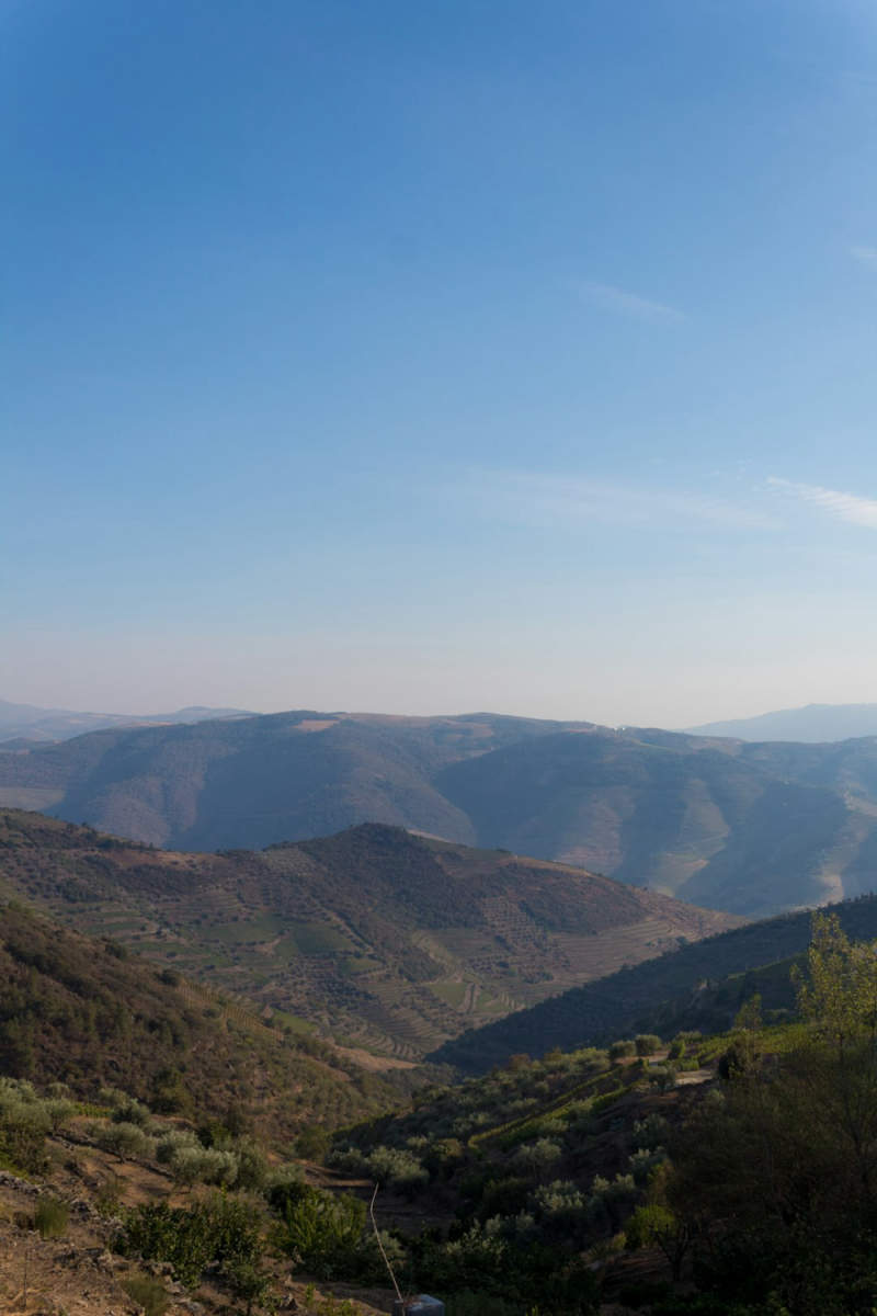 Wall Poster - Mountain Range in the Douro Valley