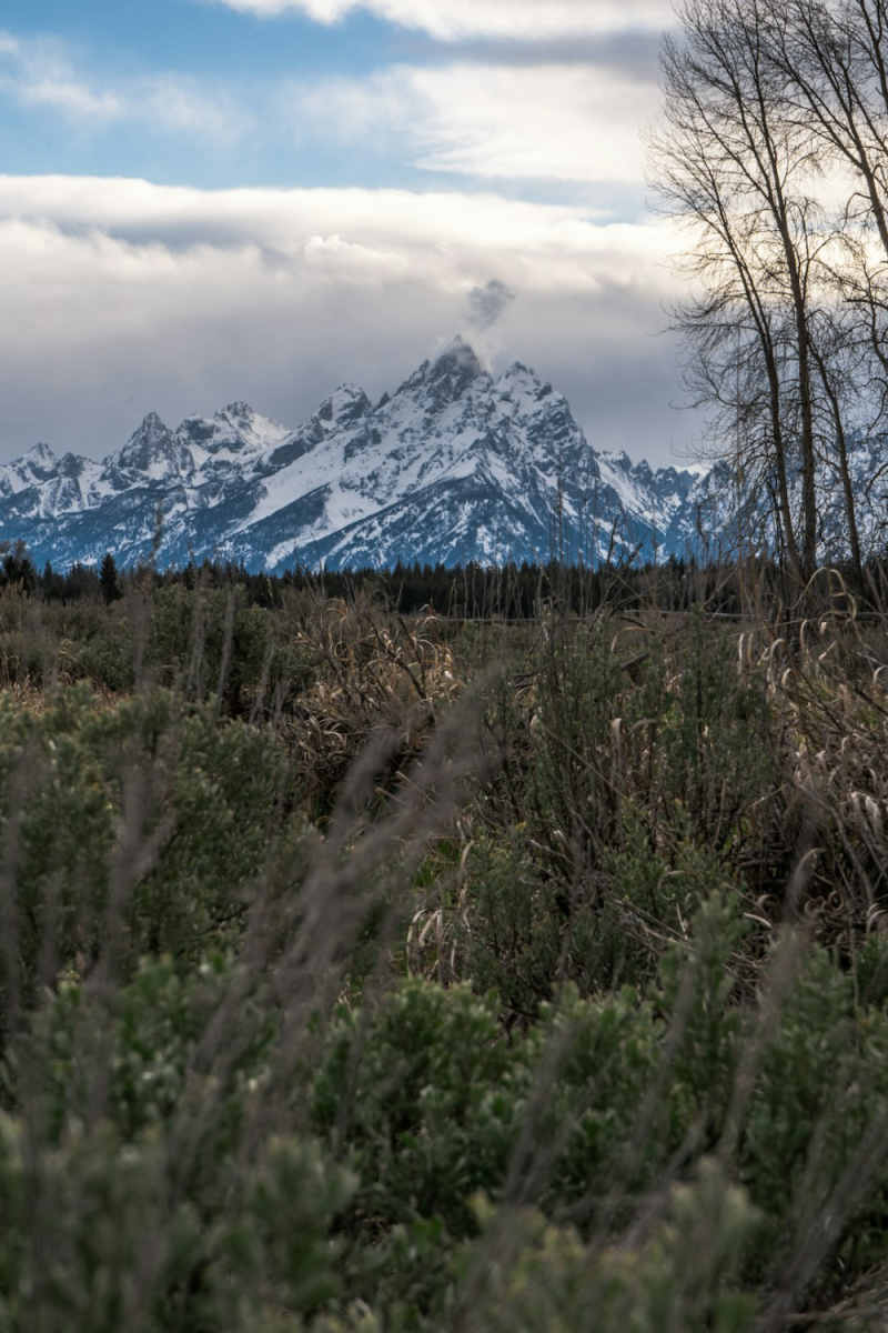 Wall Poster - Mountain Range in the Grand Tetons