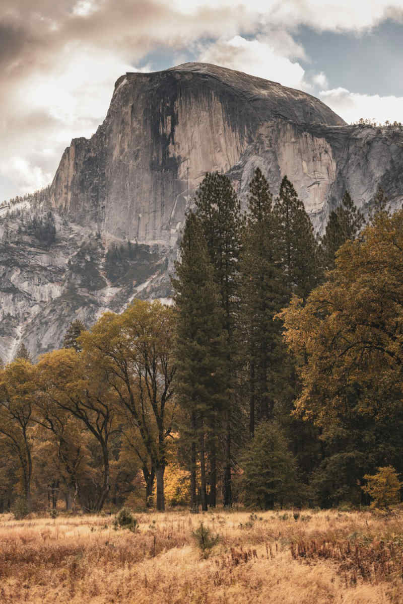 Wall Poster - Mountain Range in Yosemite