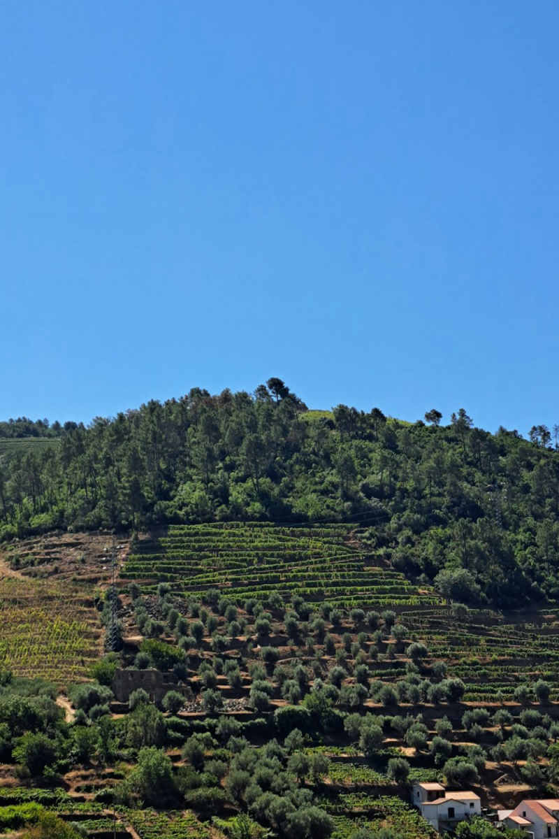 Wall Poster - Mountain Village in the Douro Valley