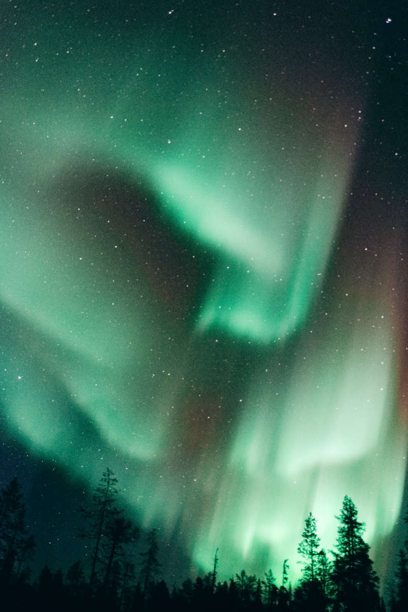 Wall Poster - Northern Lights in Lapland