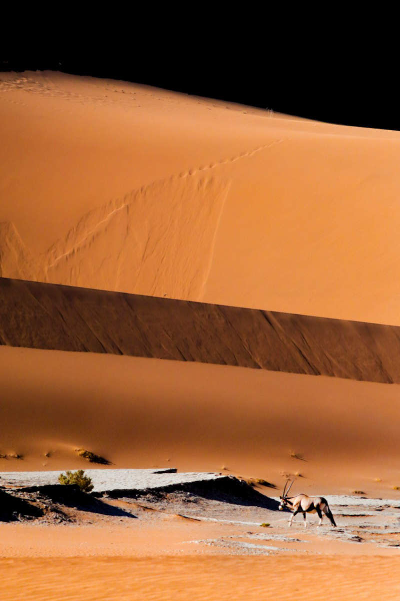 Wall Poster - Northern Lights in Namibia